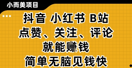 小而美的项目，抖音小红书B站视频点赞、关注、评论就能挣钱，简单无脑立见收益，妥妥的零撸项目【揭秘】-来友网创