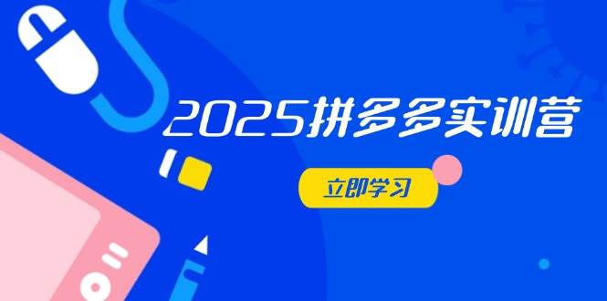 （14531期）2025拼多多实训营：深度剖析运营关键，助力电商人快速提升-来友网创