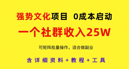 强势文化项目，一个社群收入25个W，0成本启动，可矩阵批量操作，原创详细实操教程-来友网创