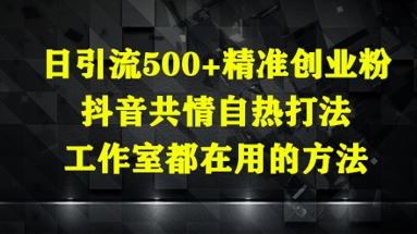 日引流500+精准创业粉，抖音共情自热打法，工作室都在用的方法-来友网创