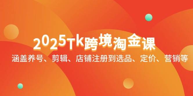 （14638期）2025Tk跨境淘金课：涵盖养号、剪辑、店铺注册到选品、定价、营销等-来友网创