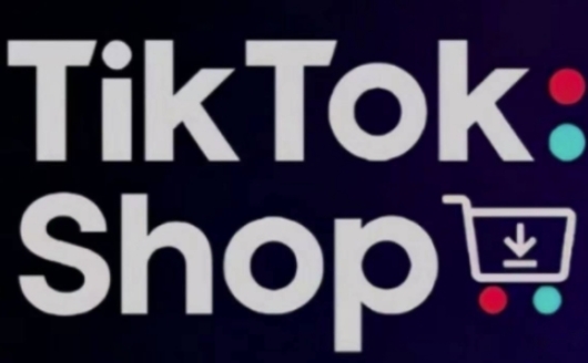 TikTokShop跨境电商0-1实战，手把手教你低成本启动海外市场（更新）-来友网创