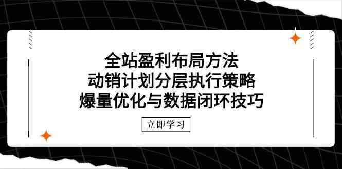 全站盈利布局方法：动销计划分层执行策略，爆量优化与数据闭环技巧-来友网创