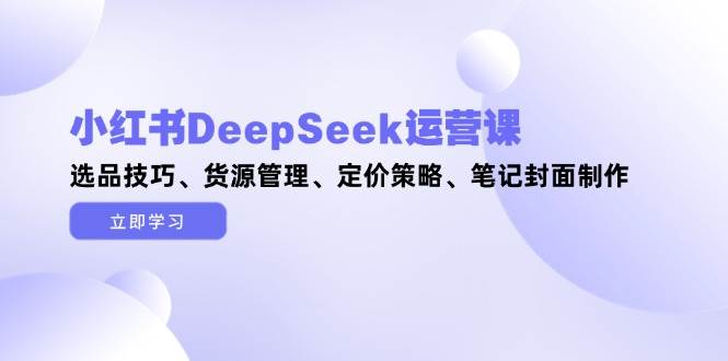 （14748期）小红书DeepSeek运营课，选品技巧、货源管理、定价策略、笔记封面制作-来友网创