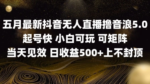 2025五月最新无人直播撸音浪单日产出5张+实操教程【揭秘】-来友网创