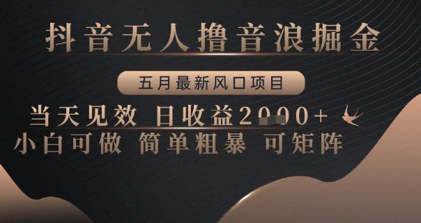 抖音无人撸音浪掘金，五月最新风口项目，当天见效，日收益多张，小白可做简单粗暴可矩阵【揭秘】-来友网创
