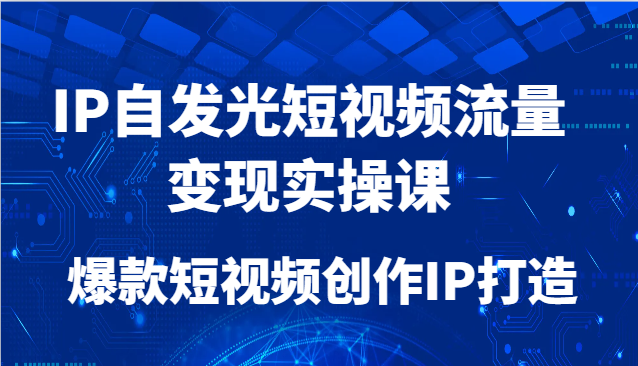 IP自发光短视频流量变现实操课，爆款短视频创作IP打造-来友网创