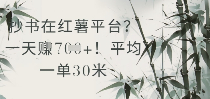 抄书在小红薯平台？平均一单30米，一天收益几张！-来友网创