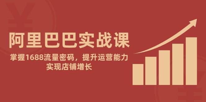 （14830期）阿里巴巴实战课：掌握1688流量密码，提升运营能力，实现店铺增长-来友网创