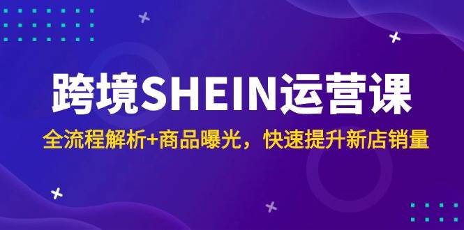 （14832期）跨境SHEIN运营课，全流程解析+商品曝光，快速提升新店销量-来友网创