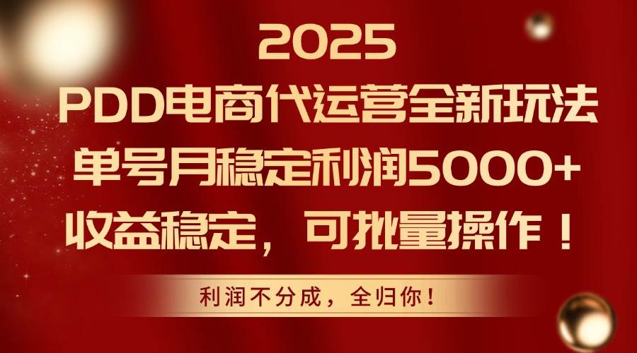 （14839期）2025PDD电商代运营全新玩法，单号月稳定利润5000+，收益稳定，可批量操作-来友网创