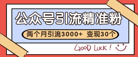 公众号精准粉引流玩法，2个月3000+精准粉，变现30个W【揭秘】-来友网创
