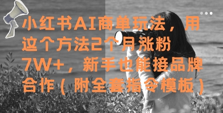 小红书AI商单玩法，用这个方法2个月涨粉7W+，新手也能接品牌合作(附全套指令模板)-来友网创