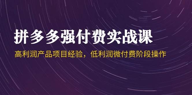 （14874期）拼多多强付费实战课-44期，高利润产品项目经验，低利润微付费阶段操作-来友网创