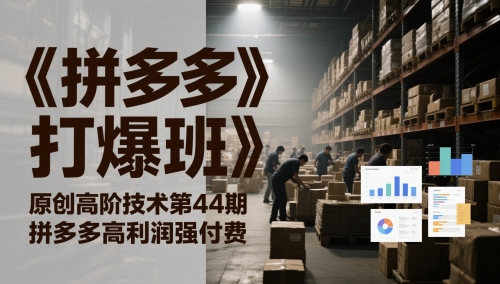《拼多多打爆班》原创高阶技术第44期，拼多多高利润强付费-来友网创