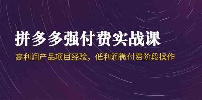 拼多多强付费实战课-44期，高利润产品项目经验，低利润微付费阶段操作-来友网创