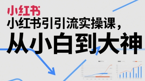 小红书引流实操课，从小白到大神-来友网创