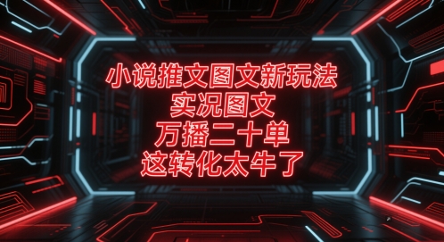 小说推文图文新玩法，实况图文，万播二十单，这转化太牛了！-来友网创