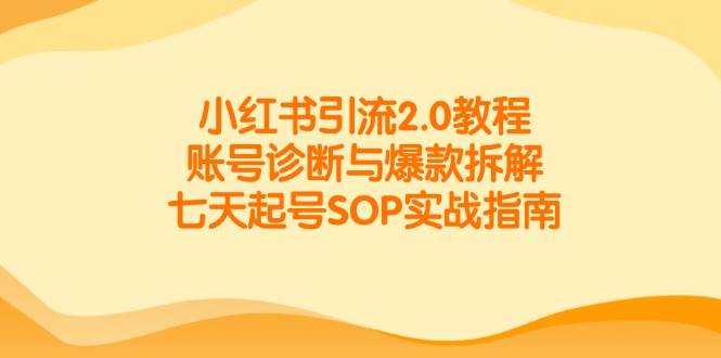小红书引流2.0教程，账号诊断与爆款拆解，七天起号SOP实战指南-来友网创