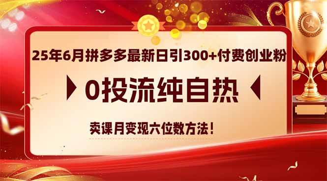 （14989期）25年6月拼多多最新日引300+付费创业粉，0投流纯自热 卖课月变现六位数方法-来友网创