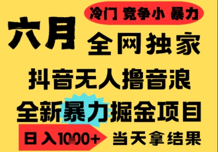 25年6月高爆抖音无人直播最新撸音浪掘金项目，小白可做，无脑日入1k+，门槛低可批量矩阵【揭秘】-来友网创