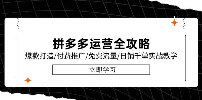 （15085期）拼多多运营全攻略，爆款打造/付费推广/免费流量/日销千单实战教学/6月更新-来友网创