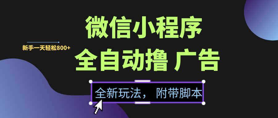（15134期）微信小程序挂机撸广告，全新玩法，新手一天轻松800+【附带脚本】-来友网创
